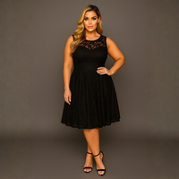 Sleeveless Lace Sweetheart Neckline Skater Dress