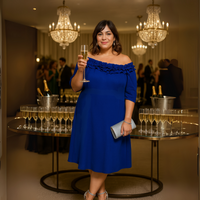 Ruffled Neckline Off Shoulder Pretty Dress