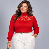 Polo Neck Lace Neckline Long Sleeve Top