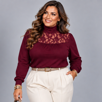 Polo Neck Lace Neckline Long Sleeve Top