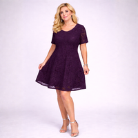 Short Sleeve Lace Fully Lined Swing Dress