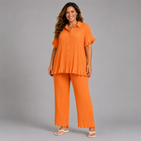 Pleated 2 Piece Outfit Set with Frilled Hem