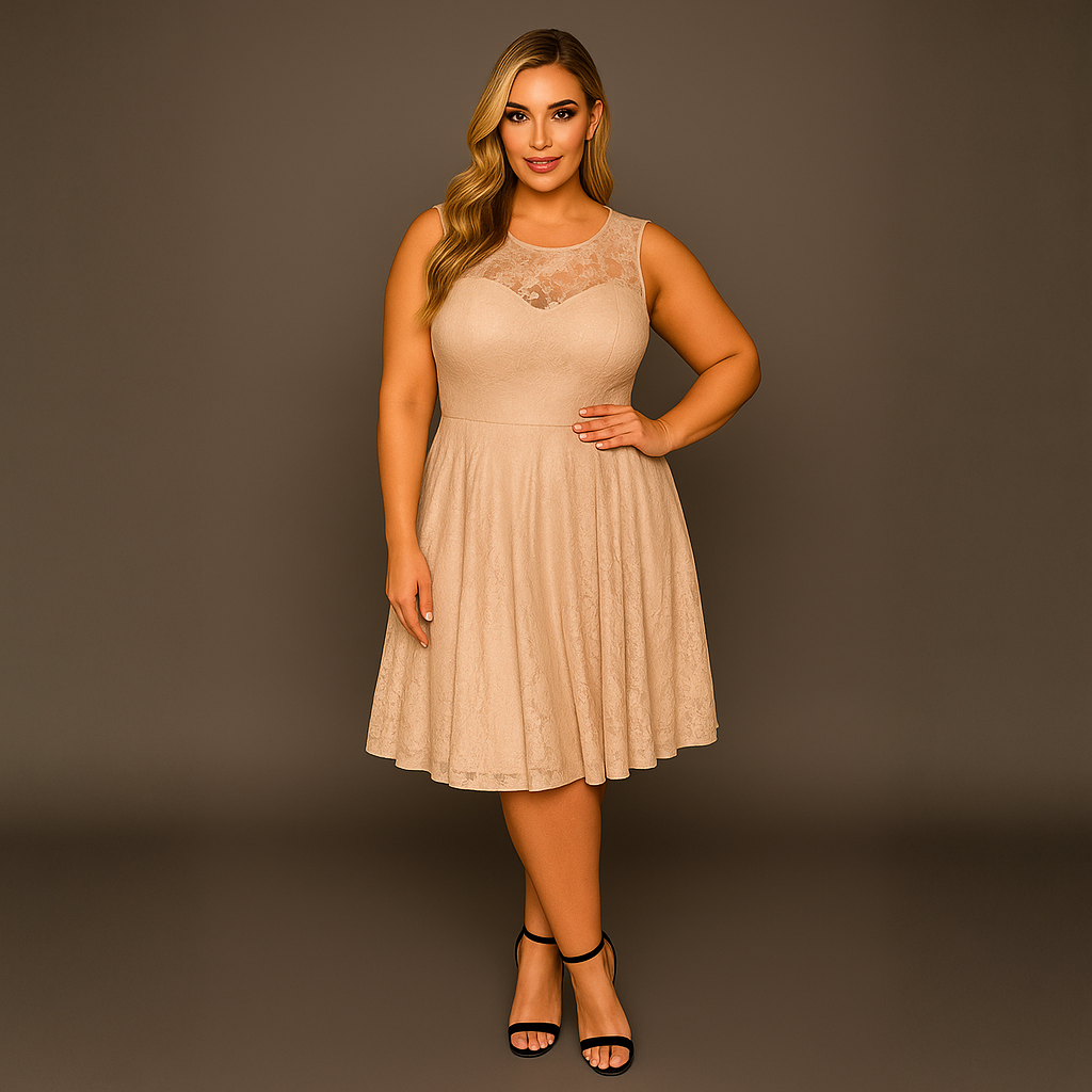 Sleeveless Lace Sweetheart Neckline Skater Dress