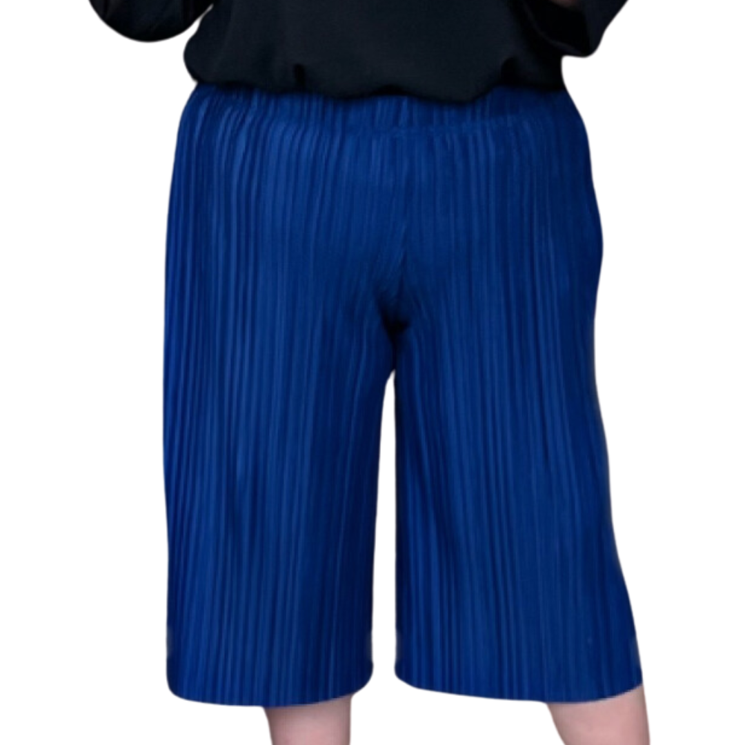 PLAIN CRINKLE PLEATED ELASTIC WAIST CULOTTES / LONG SHORTS