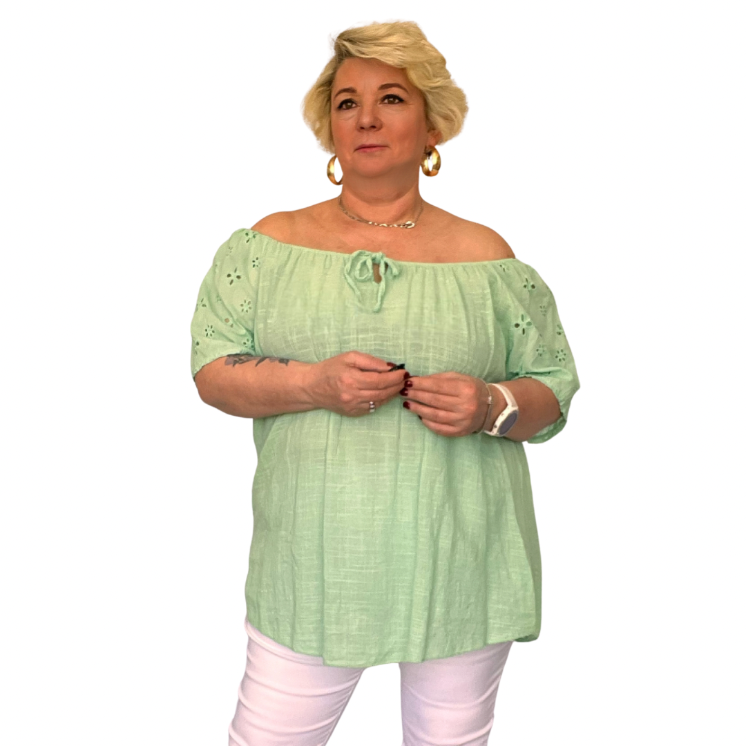 ROCKTHOSECURVES PURE COTTON A-LINE BLOUSE WITH EMBROIDERED SHORT SLEEVES