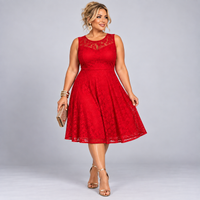 Sleeveless Lace Sweetheart Neckline Skater Dress