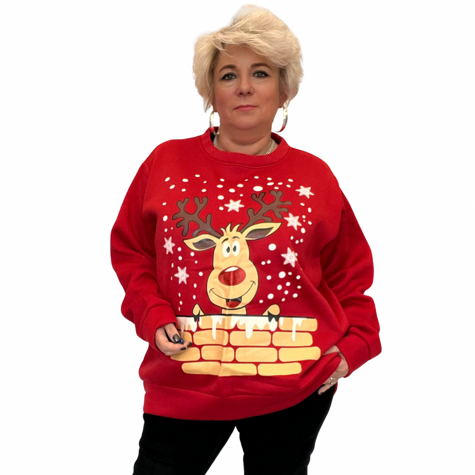 REINDEER LONG SLEEVE CHRISTMAS JUMPER / SWEATSHIRTRed / UK 12-14