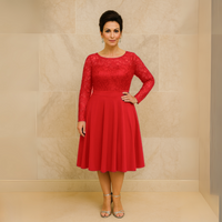 Long Sleeve Lace + Sequin Skater Dress